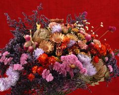 Tapeta Nature Flowers 581.jpg